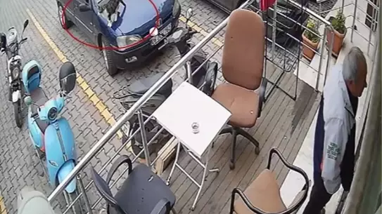 Kedi Motosikleti Devirdi
