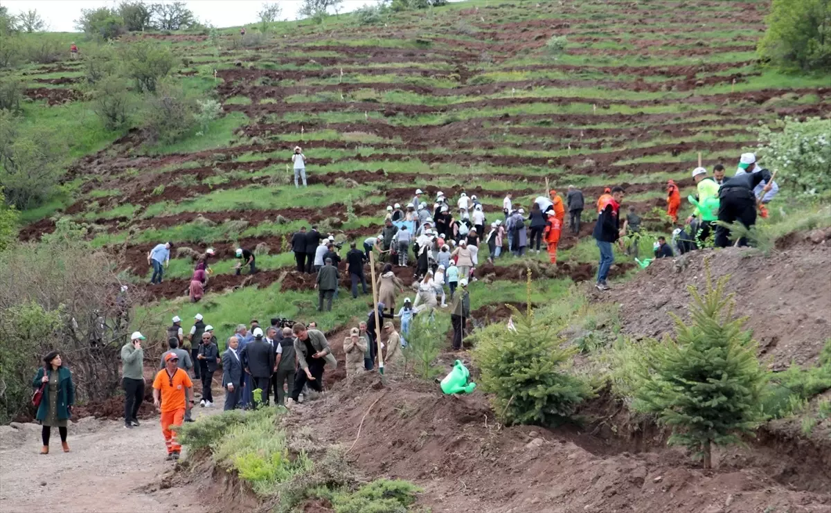 TBMM'nin 105. Yılı İçin 105 Bin Fidan Dikildi