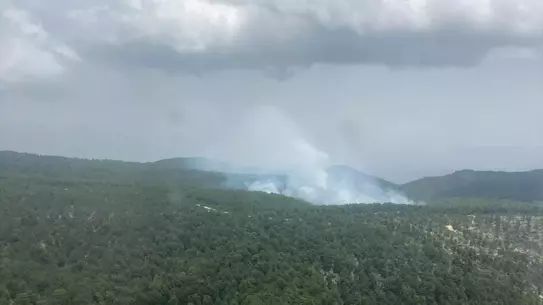 Aydın'da Orman Yangını Söndürüldü