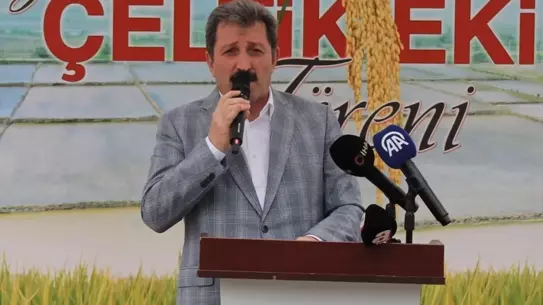 Bafra Ovası'nda Çeltik Ekimi Başladı