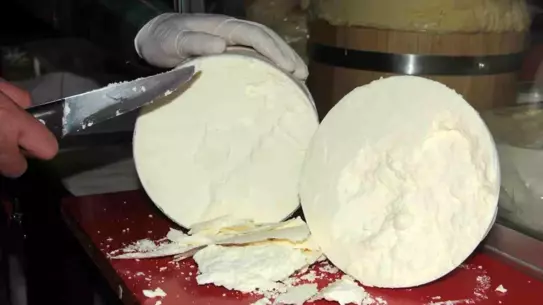 Erzincan Tulum Peyniri AB Tescili Aldı