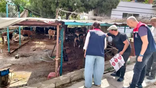 Aydın'da Kurban Bayramı Denetimleri