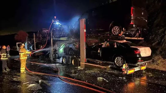 Bilecik'te Yangın: 8 Sıfır Araç Yandı