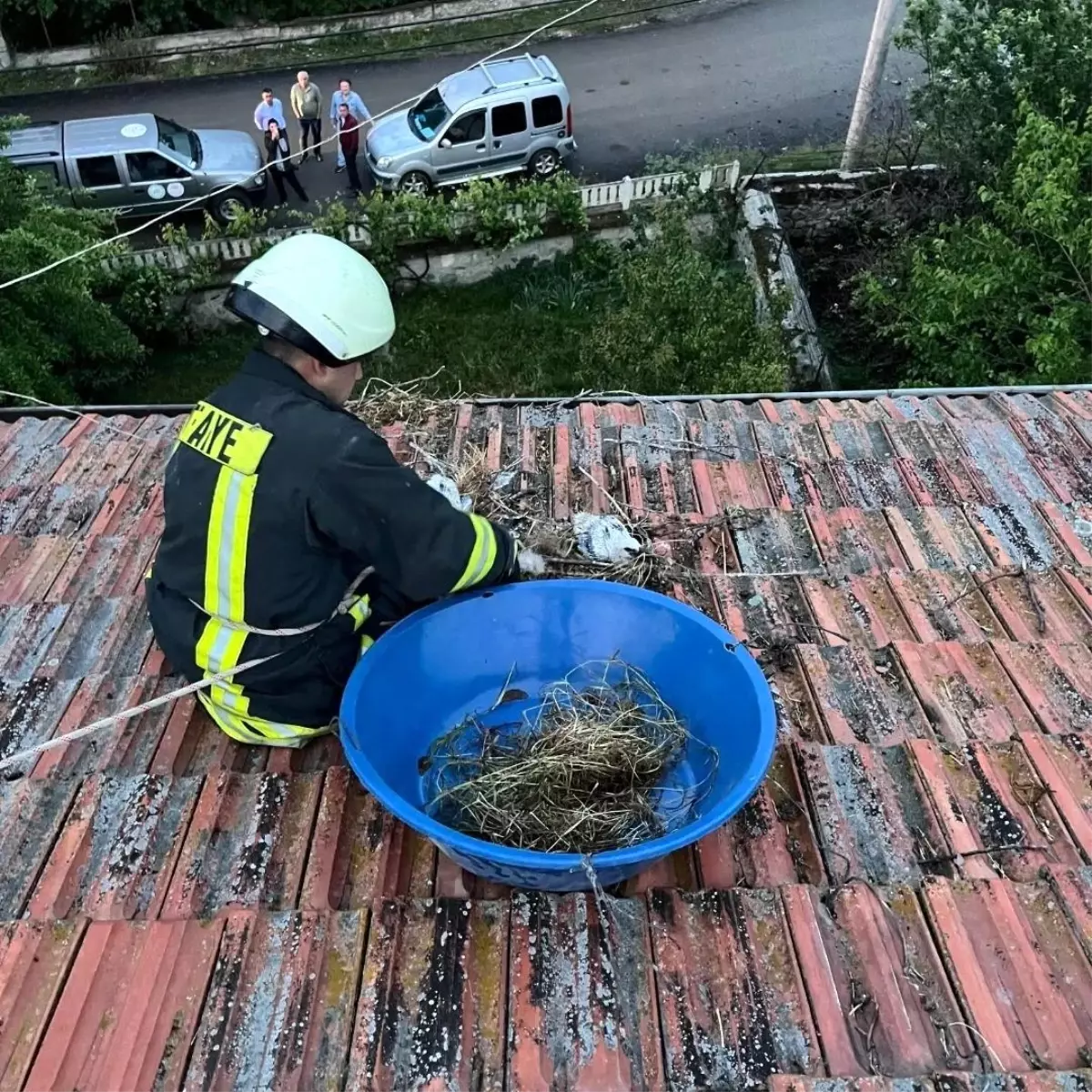 Fırtına Yüzünden Çatıda Mahsur Kalan Yavru Leylekler Kurtarıldı