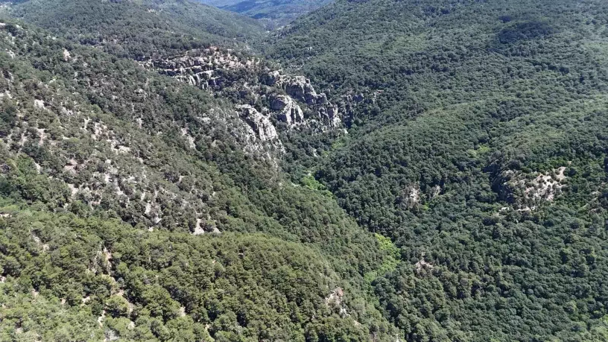 Çanakkale'de Kaybolan Müdür Bulundu