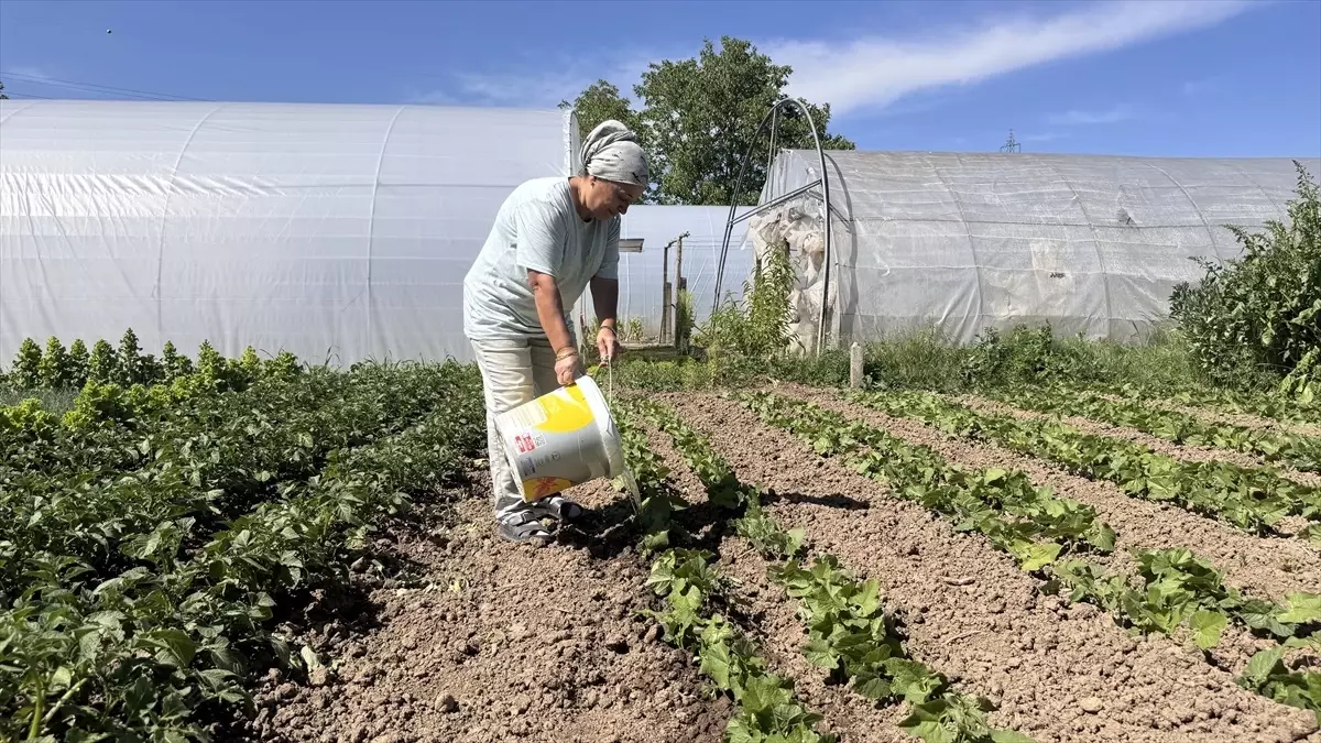 Zonguldak'ta Tarım Projesiyle 20 Milyon TL Katkı