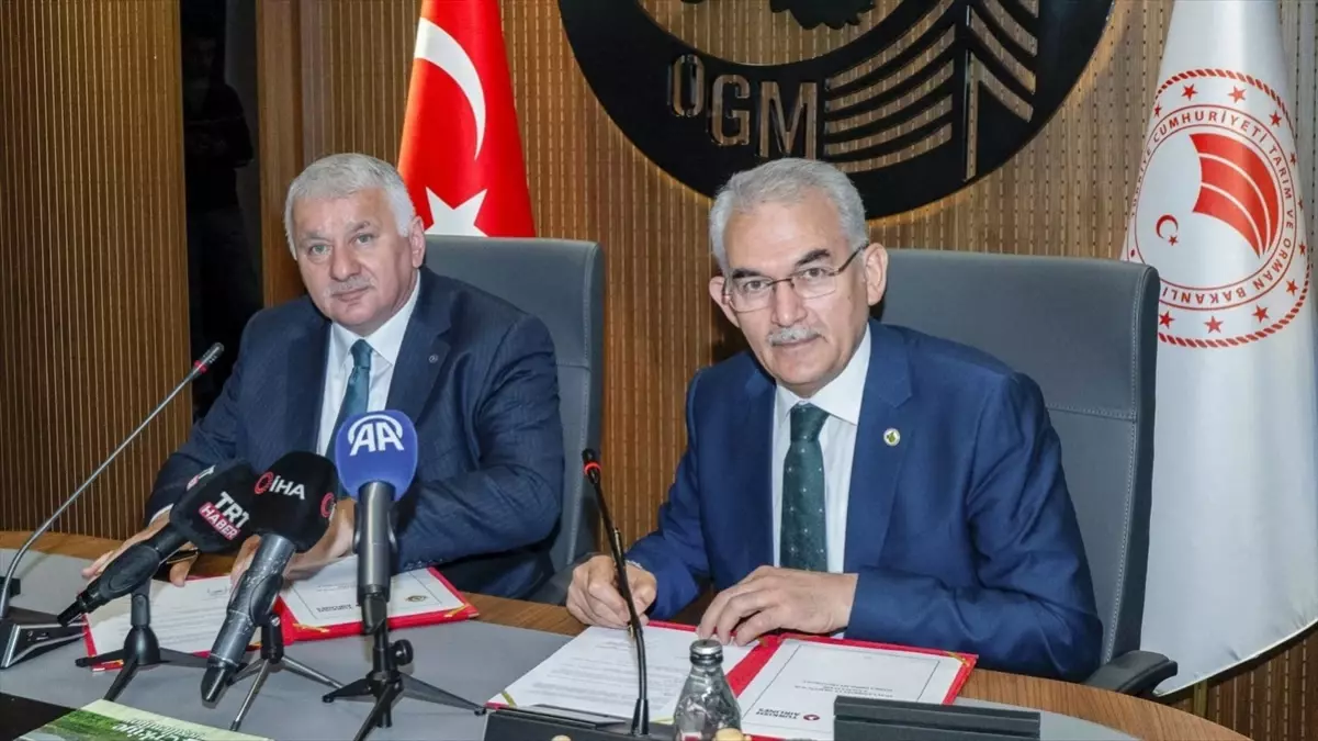 THY ve OGM'den Ağaçlandırma Protokolü