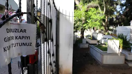 Marmaris'te Yaban Domuzu İstilasına İsyan: Mezarlıkları Tahrip Ediyorlar