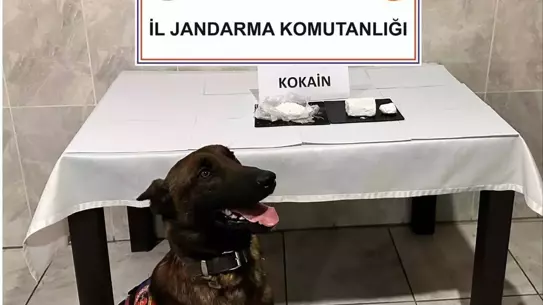 Yatağan’da Otobüste 290 Gram Kokain Yakalandı