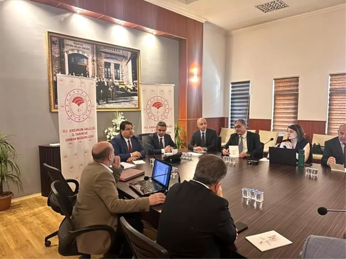 Erzurum'da Mera Kiralama İhalesi Tamamlandı