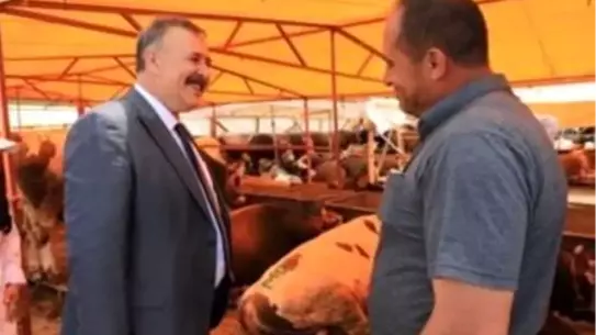Trabzon'da Kurban Bayramı Hazırlıkları Başladı