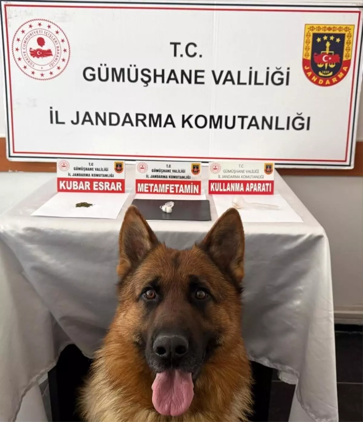 Gümüşhane'de Uyuşturucu Operasyonu