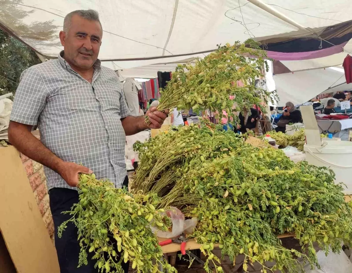 Kahramanmaraş'ın Yeşil Nohutu Tezgahlarda