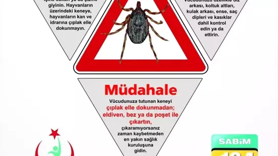 KKKA'ya Dikkat: Kene Korunma Yöntemleri