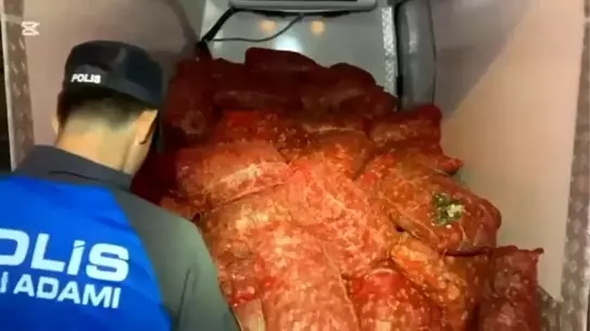 Samsun'da 2,9 Ton Kaçak Midye Ele Geçirildi