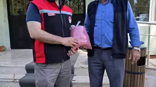 Orhaneli'de Çiftçilere Kuru Fasulye Tohumu Dağıtıldı