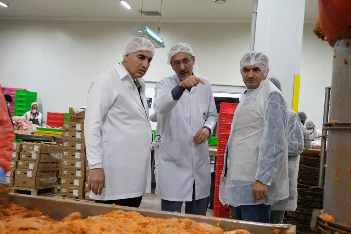 Gıda Güvenliği İhlali: 42 Yeni Ürün Eklendi