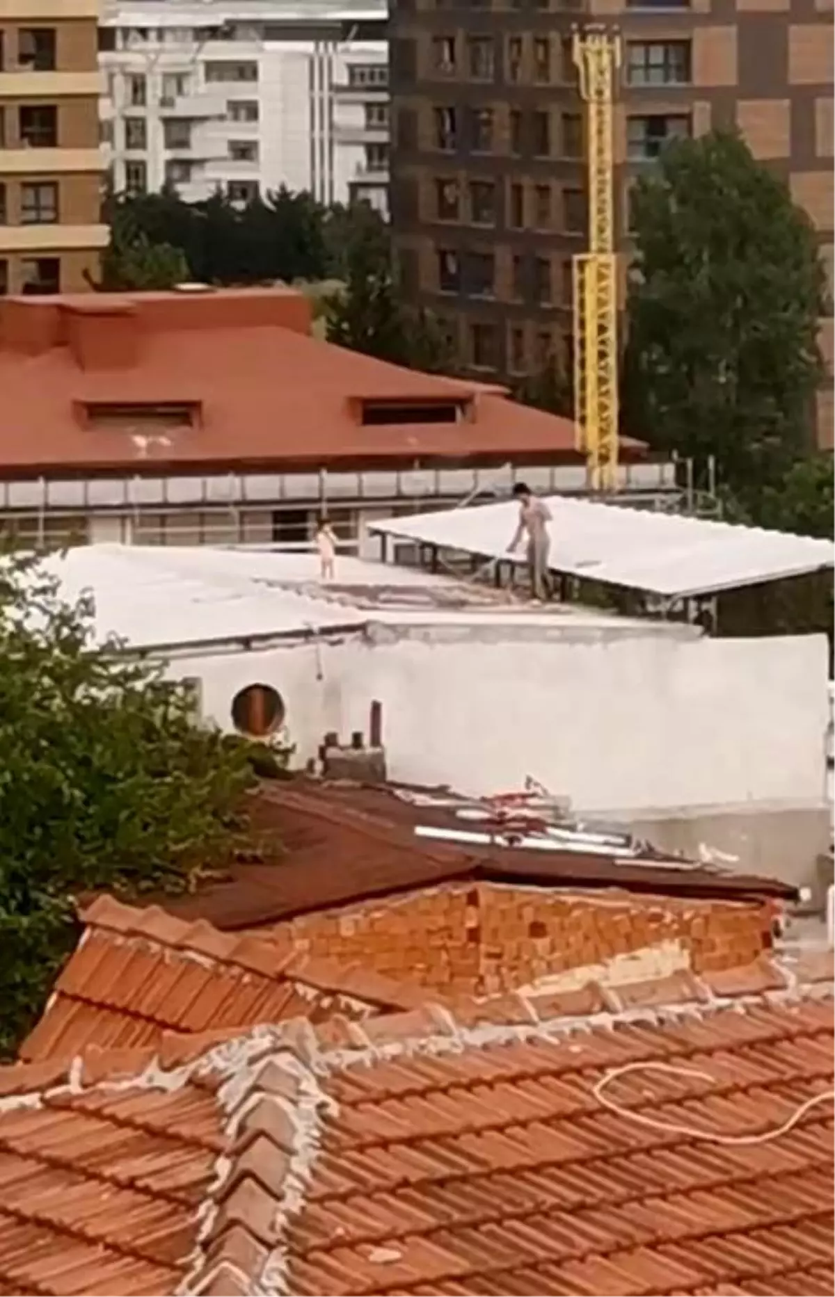 Çatıda Halı Yıkayan Baba ve Çocuk