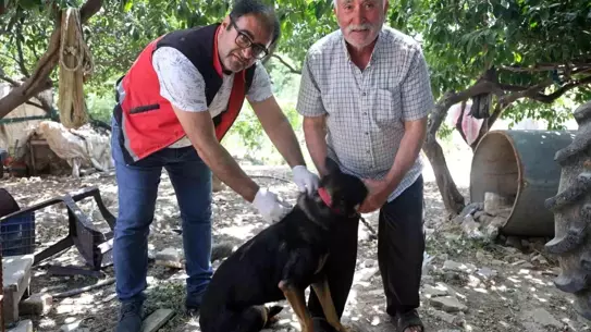 Hatay'da Kuduz Karantinası
