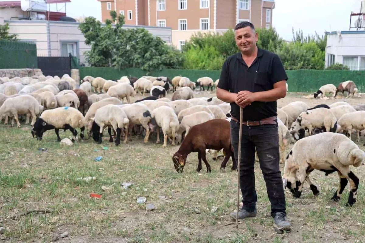 Hatay'da Kurban Bayramı Yoğunluğu