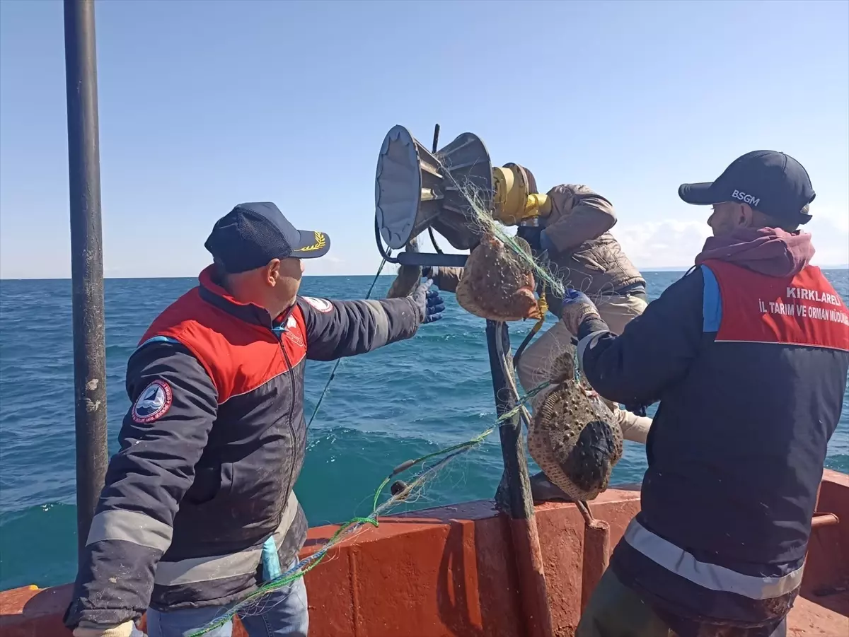 İğneada'da Kaçak Ağlar Toplandı