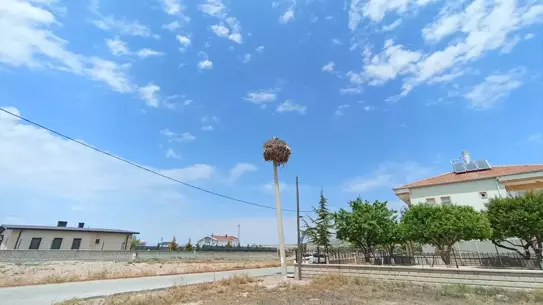 Leylekler İçin Direk Değiştirildi
