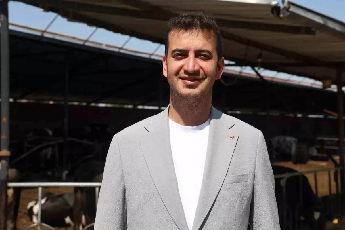 Kurbanlık Seçiminde Dikkat Edilmesi Gerekenler