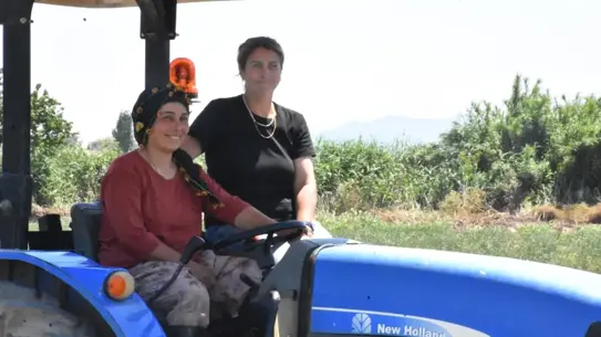 Tire'de Kadınlar Organik Çilek Üretimine Başladı