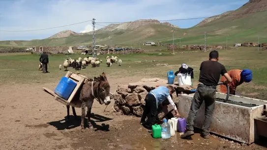 Diyadin'de Göçer Ailelerin Yayla Hayatı
