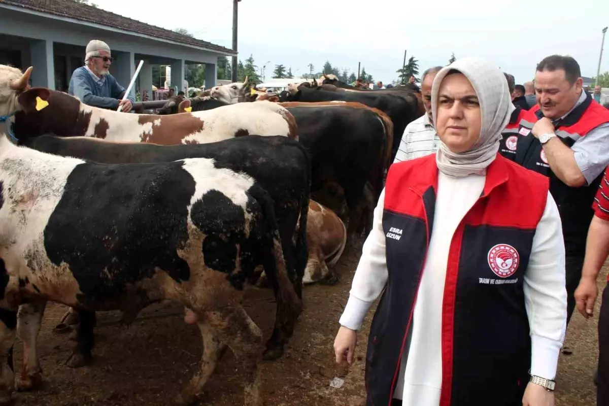 Düzce'de Kurban Bayramı Denetimleri Başladı