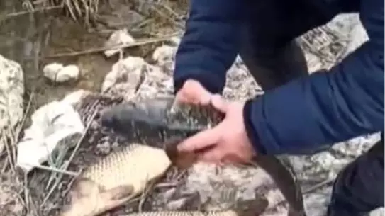Kovada Gölü'nde Kaçak Avcılığa 176 Bin TL Ceza
