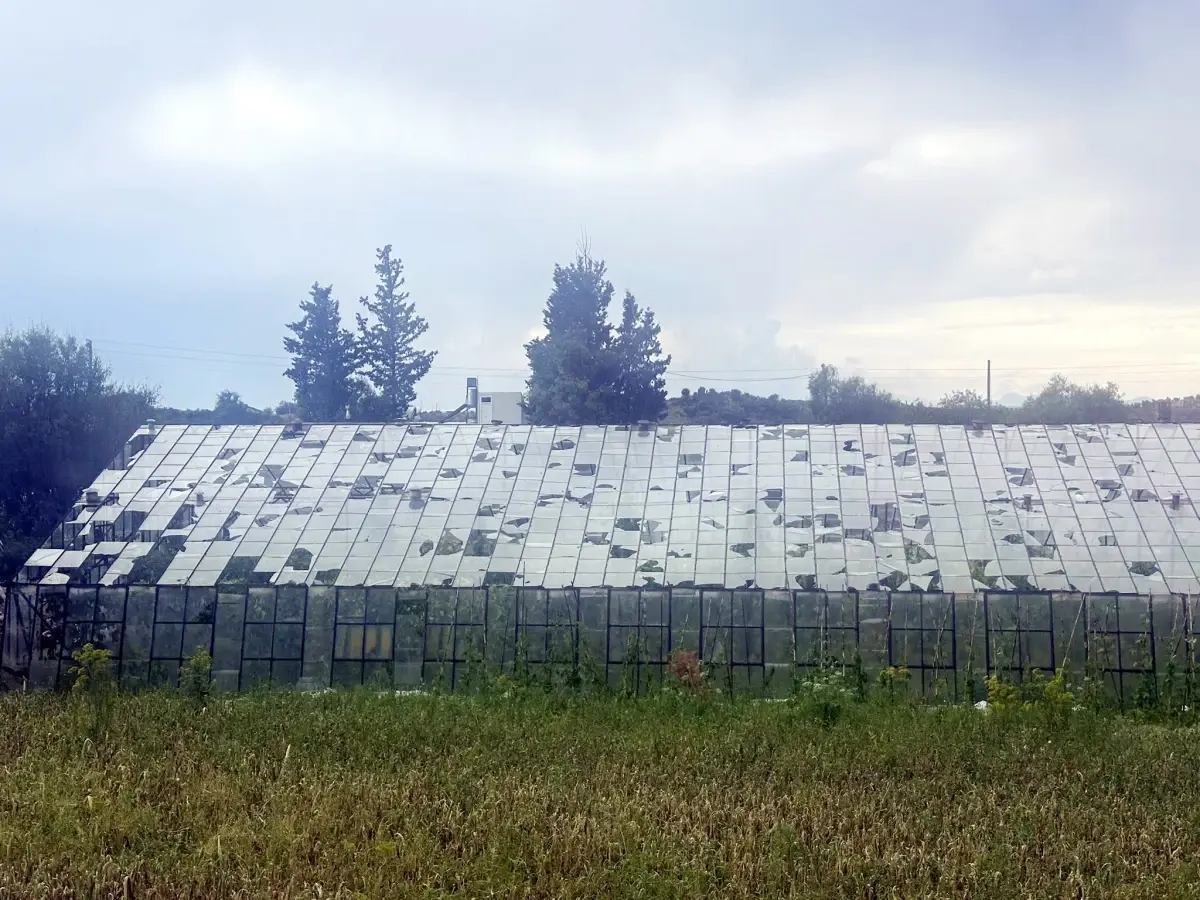 Serik'te Dolu Tarıma Zarar Verdi