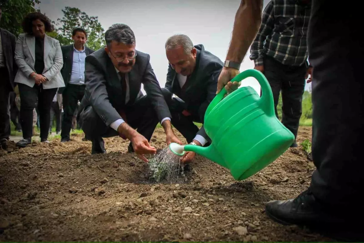 Hakkari'de Fide Dağıtımı ve Yeşertme Projesi