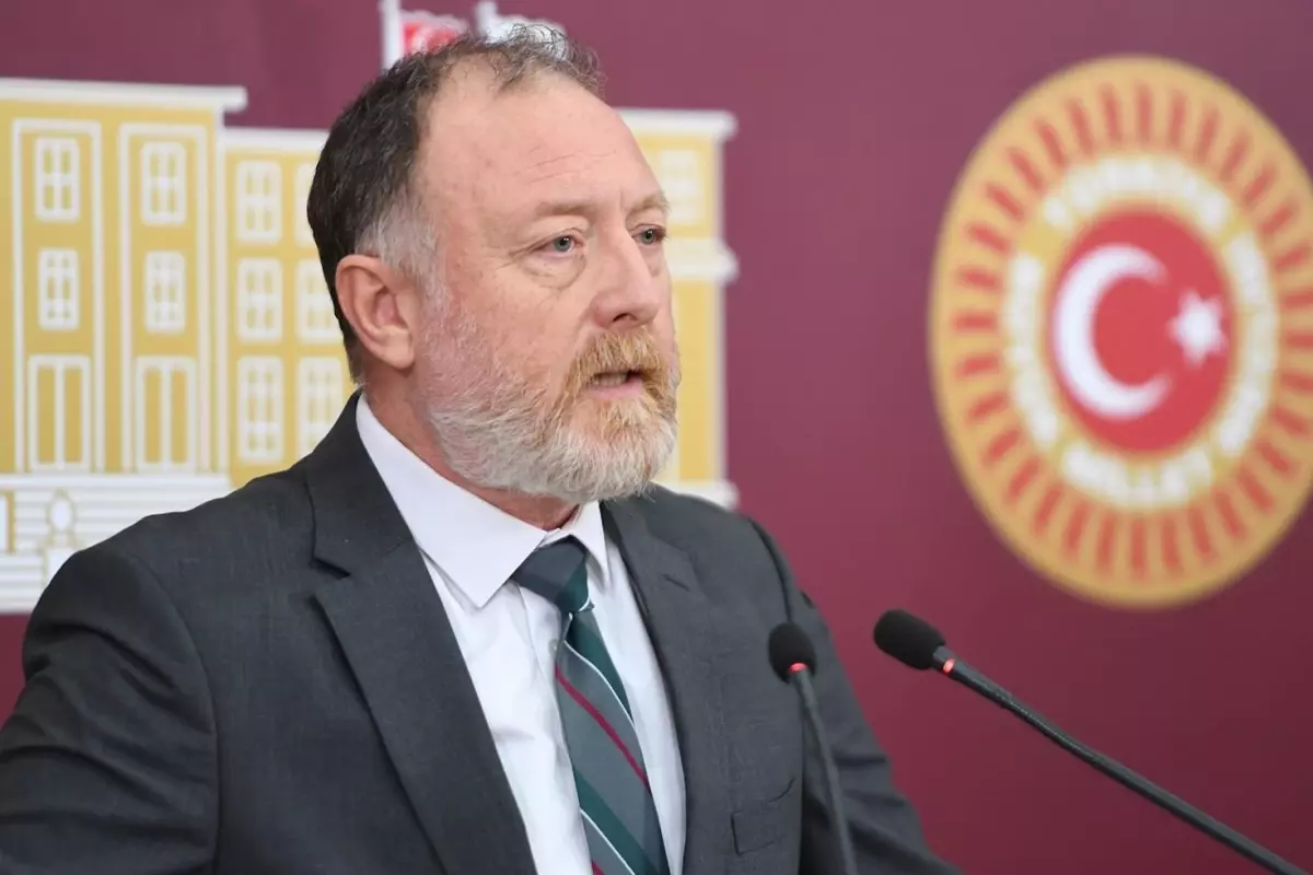 DEM Parti'den infaz düzenlemesine tepki: Dağ fare bile doğuramadı