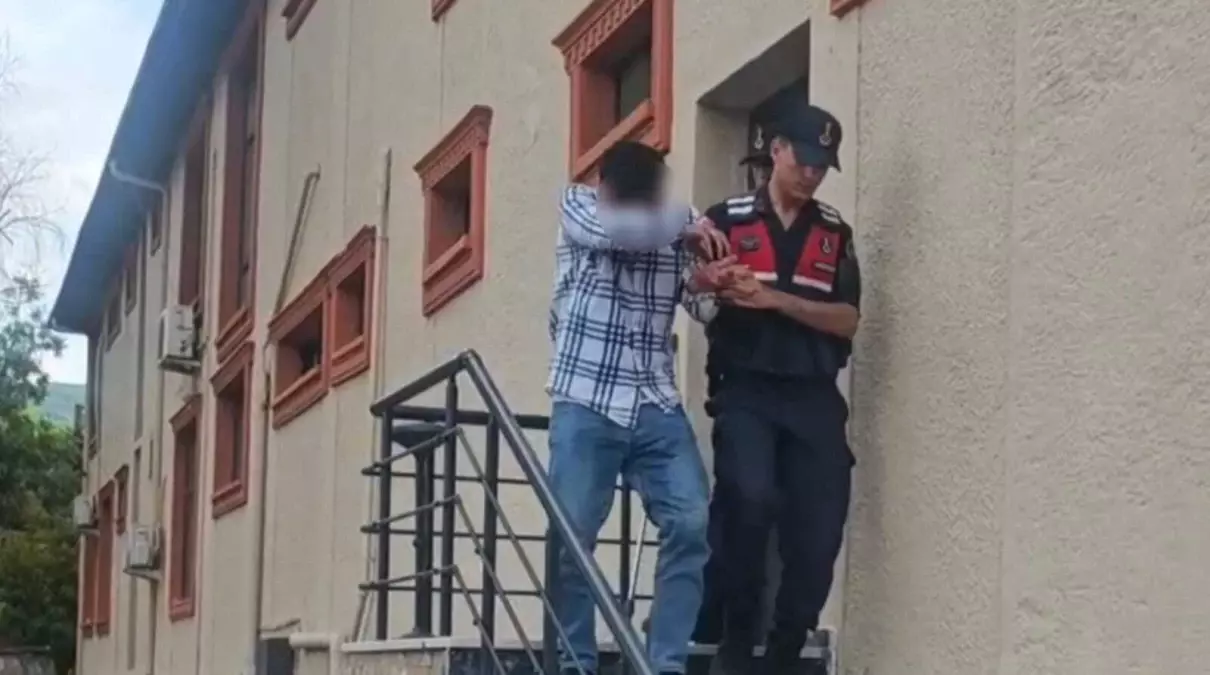Kurbanlık Dolandırıcılığına Tutuklama