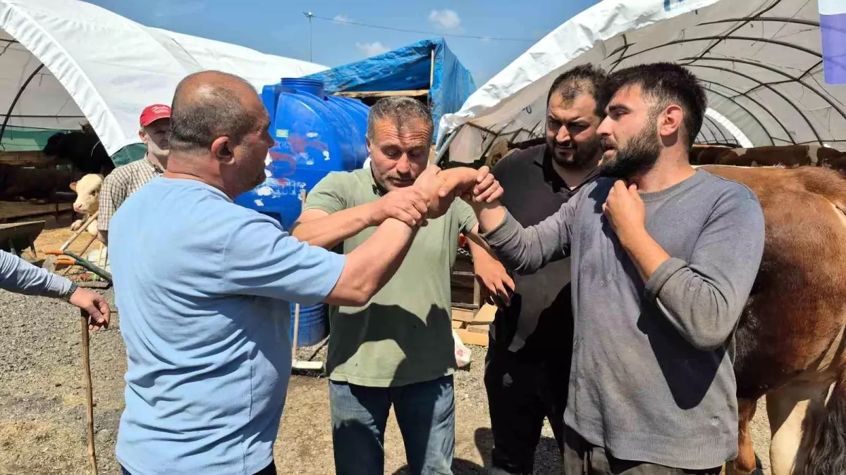 Sultangazi'de Kurban Satış Alanında Yoğunluk Artıyor