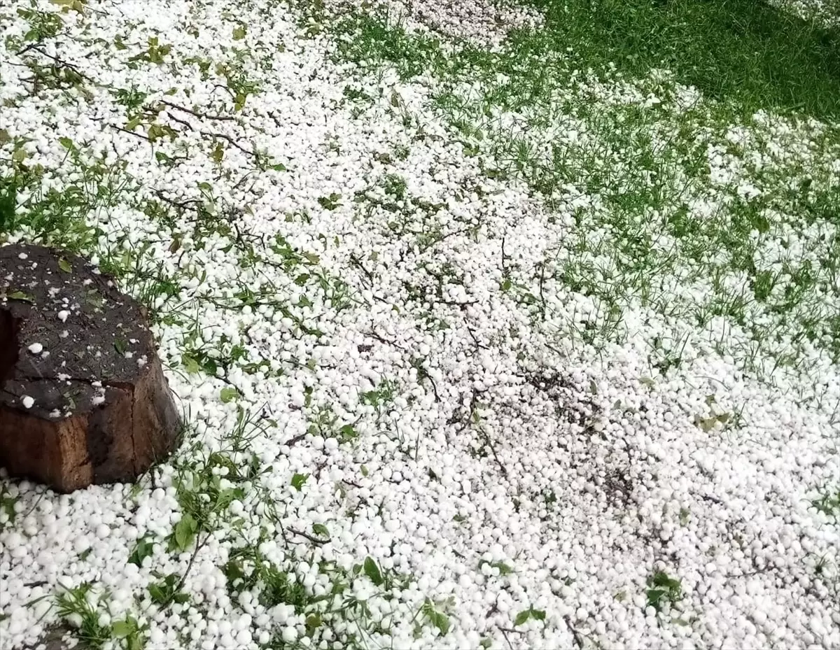 Posof'ta Dolu ve Sağanak Etkili Oldu