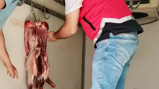 Hatay'da Uygunsuz Et Denetimi