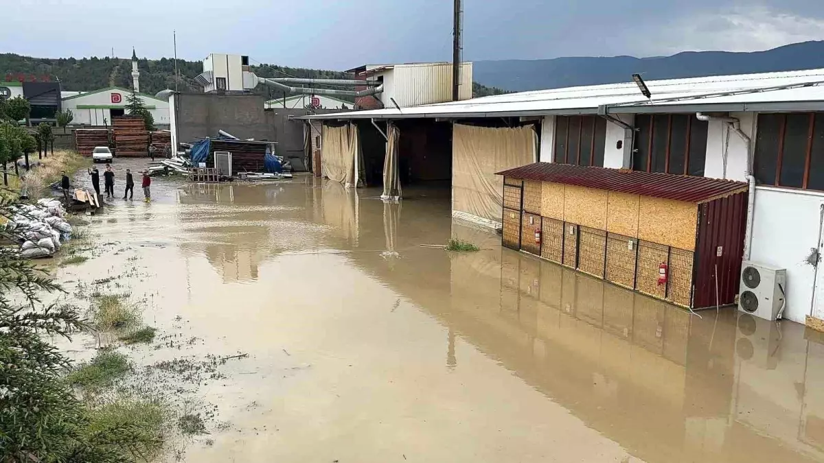 Tosya'da Sel, Fabrikalar Suya Gömüldü