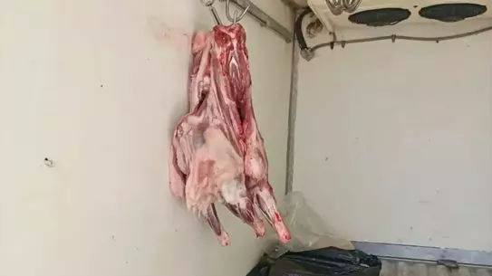 Antakya'da Bozulmuş Et Ele Geçirildi