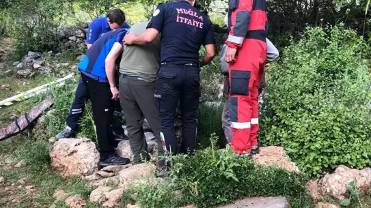 Yavru Yaban Domuzu Kurtarıldı