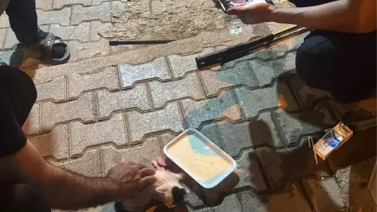 Reyhanlı'da Mahsur Kalan Yavru Kedi Kurtarıldı