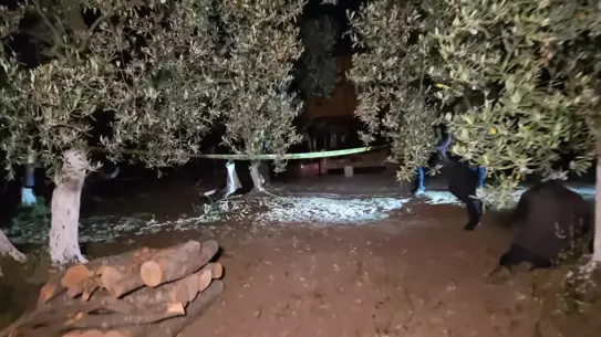Bursa'da Cinayet: Oğul Baltayla Öldürüldü