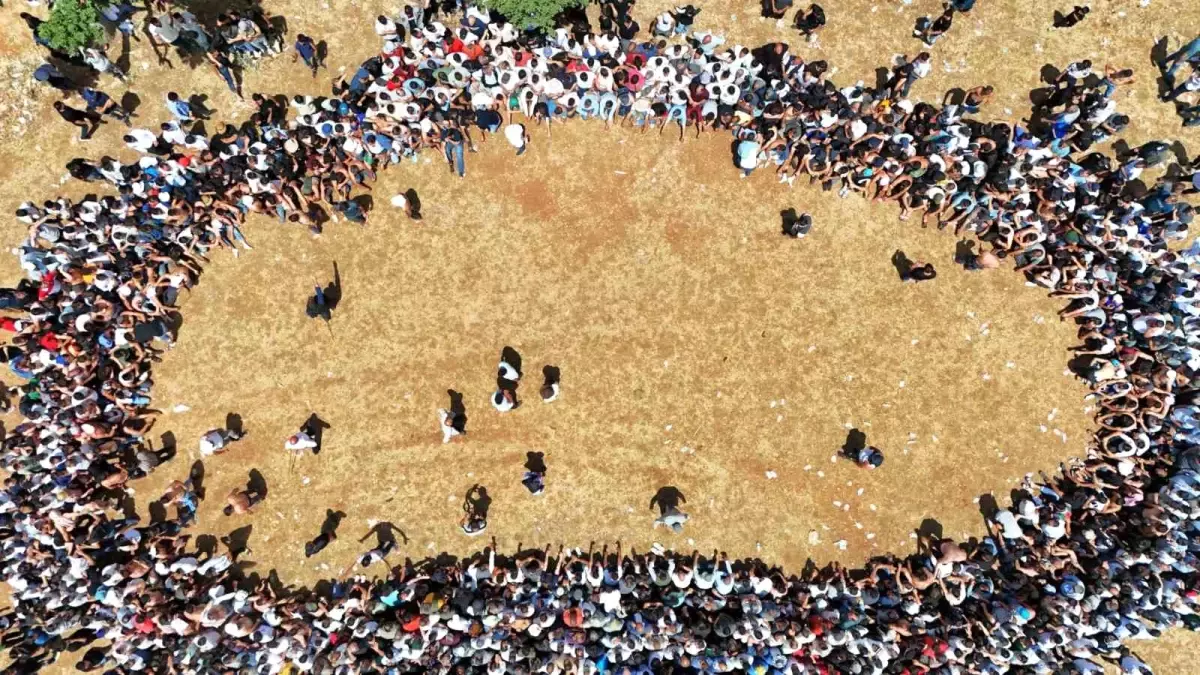 Diyarbakır'da Geleneksel Kırbaç Festivali