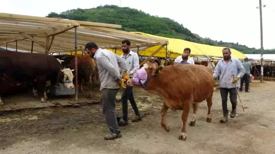 Trabzon'da Renkli Kurban Pazarı