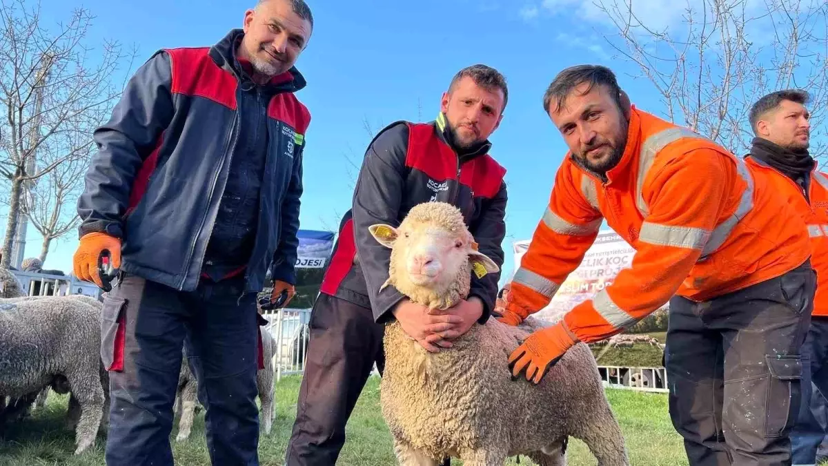 Kocaeli'de Koç Desteği Projesi Hayata Geçirildi