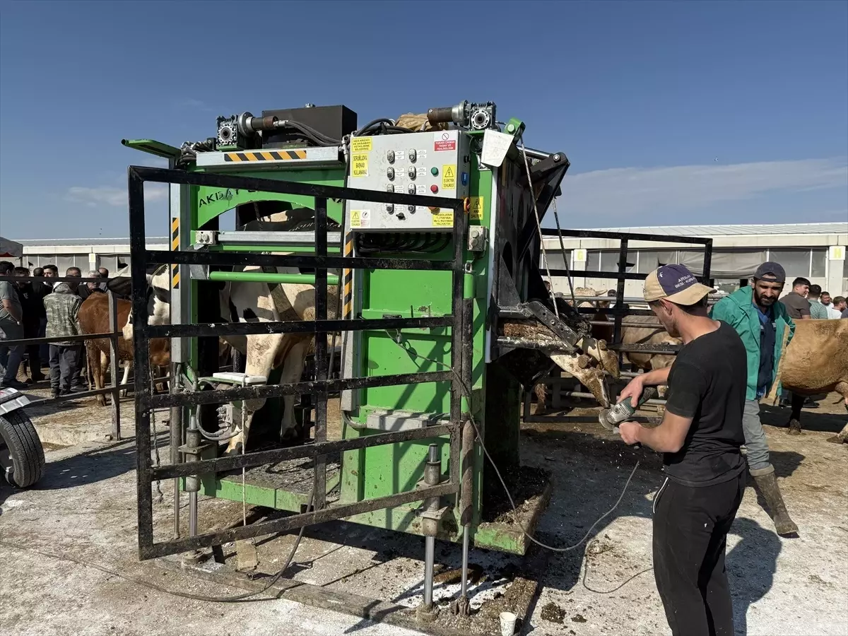 Çubuk'ta Mobil Tırnak Bakım Hizmeti