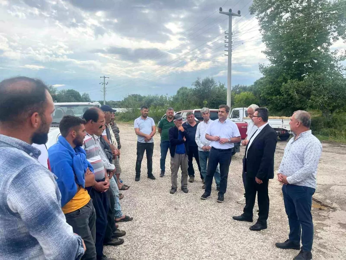 Serik'te Dolu Tarıma Zarar Verdi