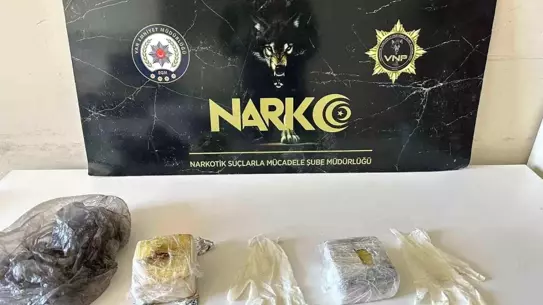 Van'da Torbacı Operasyonu: 29 Gözaltı