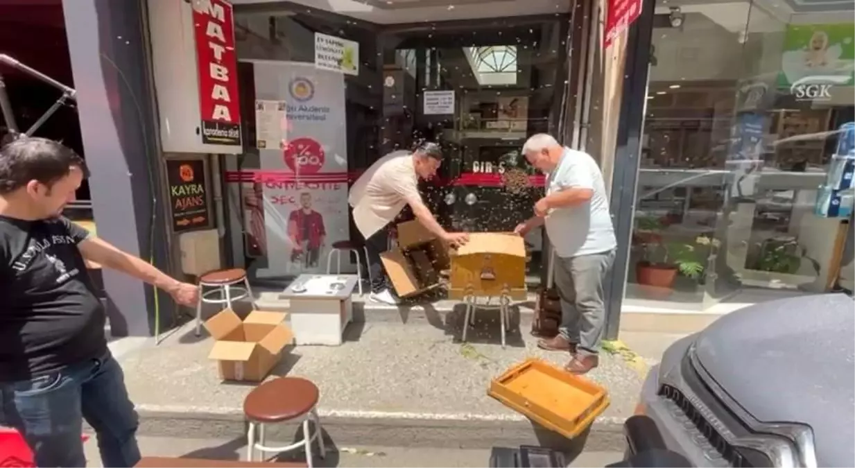 Bursa'da İş Merkezini Arılar Bastı